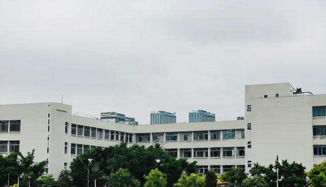 数据来源对定制化企业查询结果的影响分析